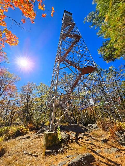 Fire tower rising above autumn trees