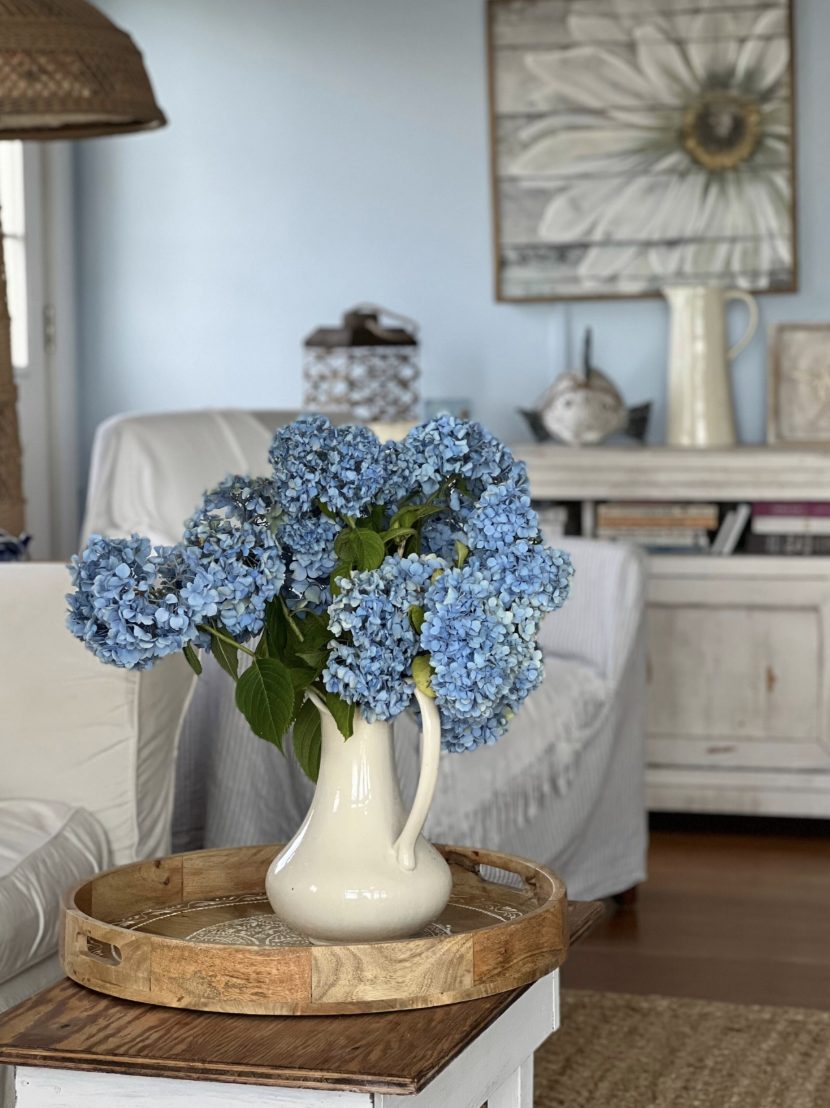 Blue hydrangeas in a white pitcher