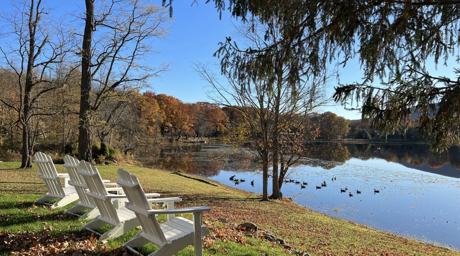 Autumn on Stissing Lake